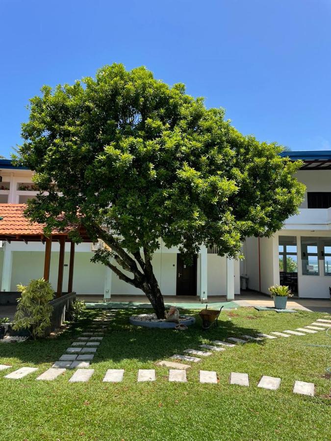 Pink Land Beruwala Exterior photo